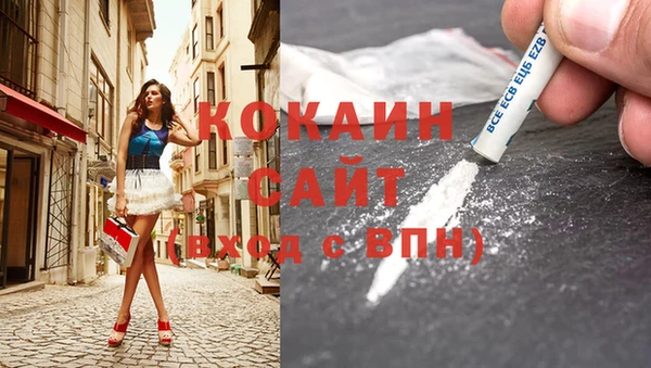 ГАЛЛЮЦИНОГЕННЫЕ ГРИБЫ Бородино