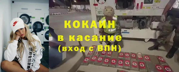 ГАЛЛЮЦИНОГЕННЫЕ ГРИБЫ Бородино