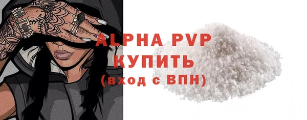 ГАЛЛЮЦИНОГЕННЫЕ ГРИБЫ Бородино