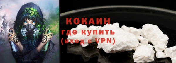 ГАЛЛЮЦИНОГЕННЫЕ ГРИБЫ Бородино
