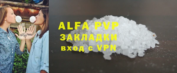 ГАЛЛЮЦИНОГЕННЫЕ ГРИБЫ Бородино